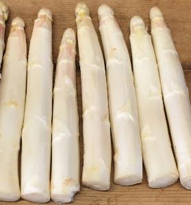 Pas d\'image pour cet article