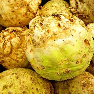 Pas d\'image pour cet article