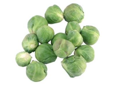 Pas d\'image pour cet article