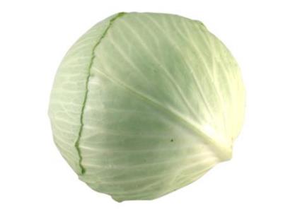 Pas d\'image pour cet article