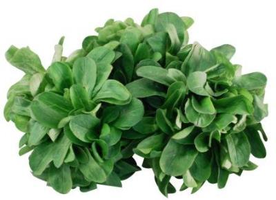 Pas d\'image pour cet article