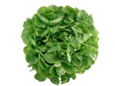 Pas d\'image pour cet article