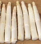 Pas d\'image pour cet article