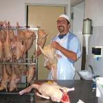 Pas d\'image pour cet article