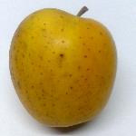 Pas d\'image pour cet article